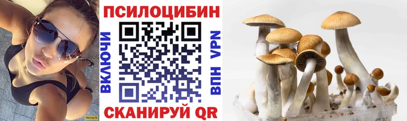 сколько стоит  Подольск  Галлюциногенные грибы мицелий 